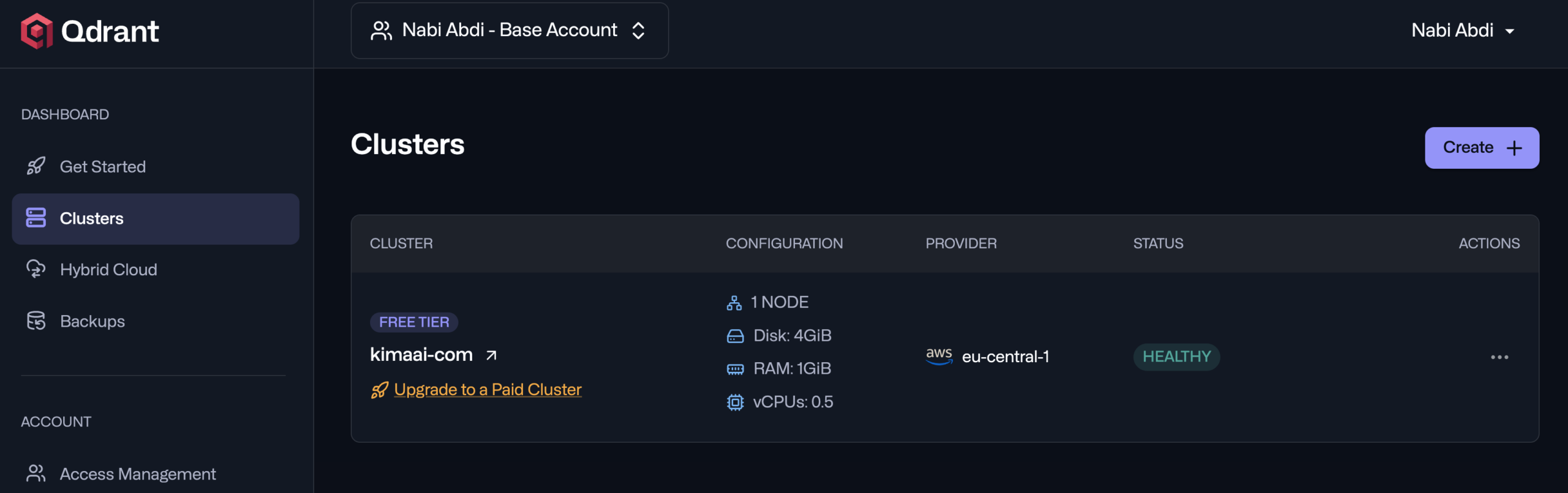 Qdrant dashboard → Clusters